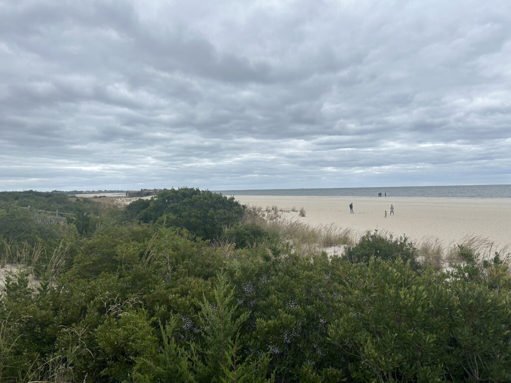 a group of people walking on a beach (MyCoast AI)