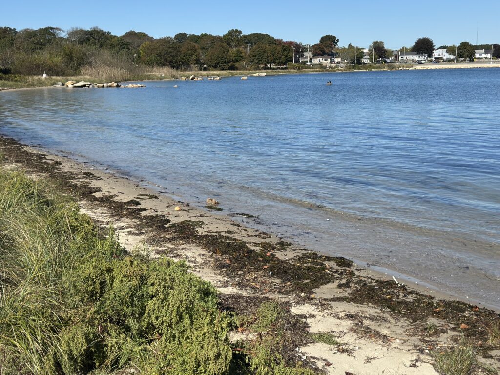 a body of water with a beach and trees in the background (MyCoast AI)