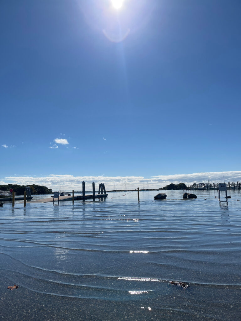 a body of water with a dock and a dock in it (MyCoast AI)