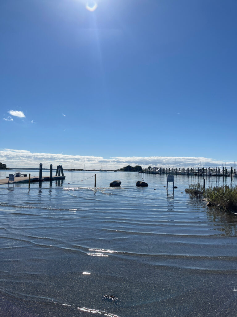 a body of water with a dock and a dock (MyCoast AI)