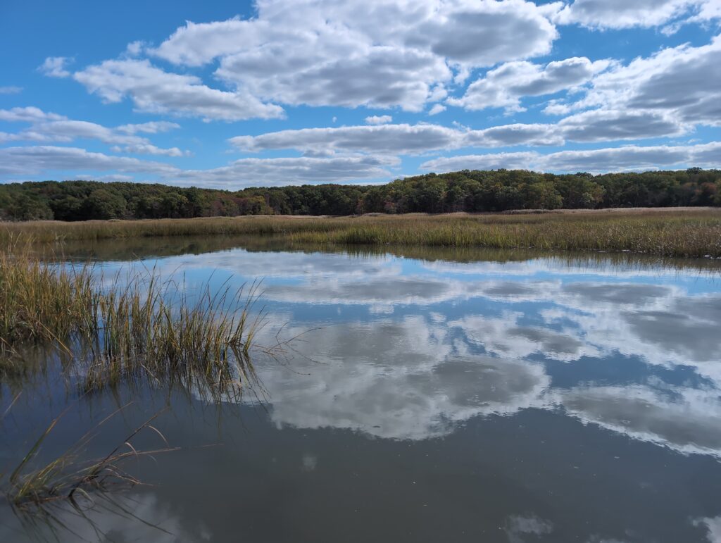 a body of water with grass and trees around it (MyCoast AI)