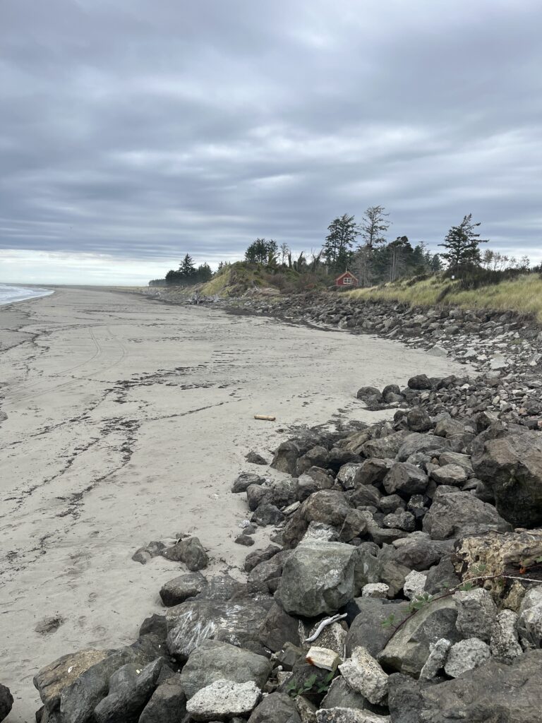 a rocky beach with trees and a hill in the background (MyCoast AI)