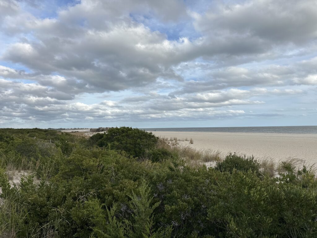 a beach with bushes and trees (MyCoast AI)