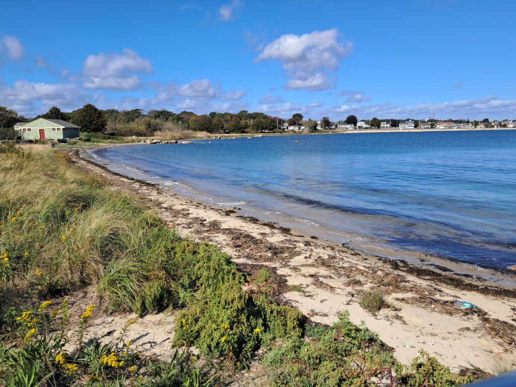 a beach with a body of water (MyCoast AI)