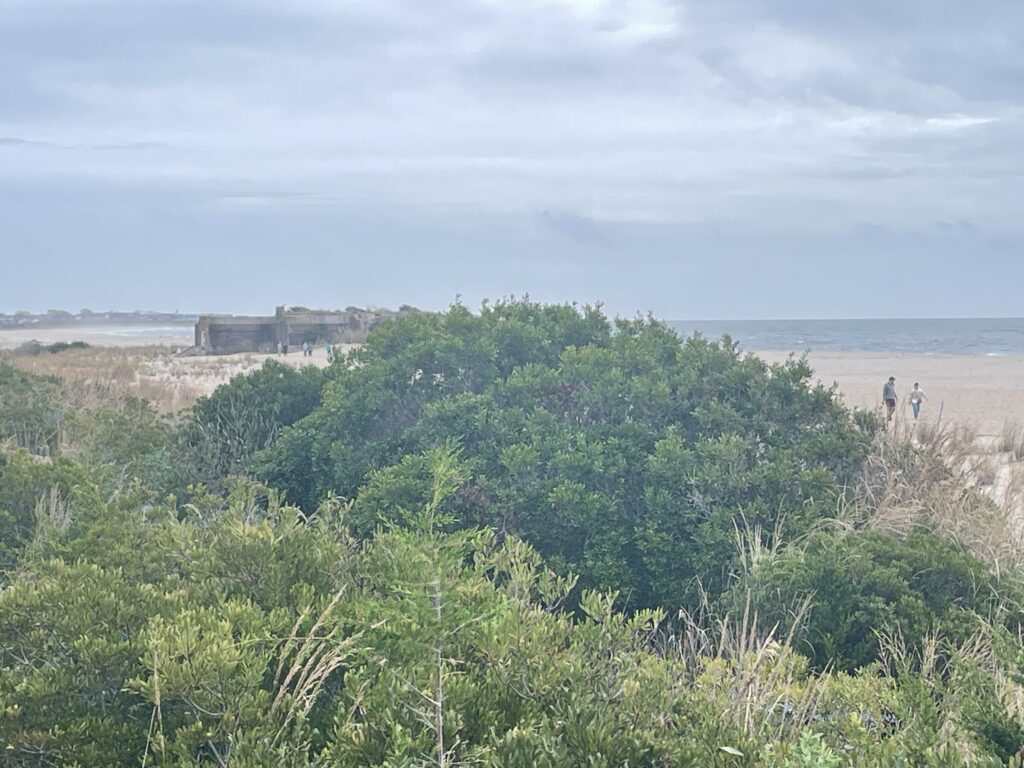 a group of people walking on a beach (MyCoast AI)