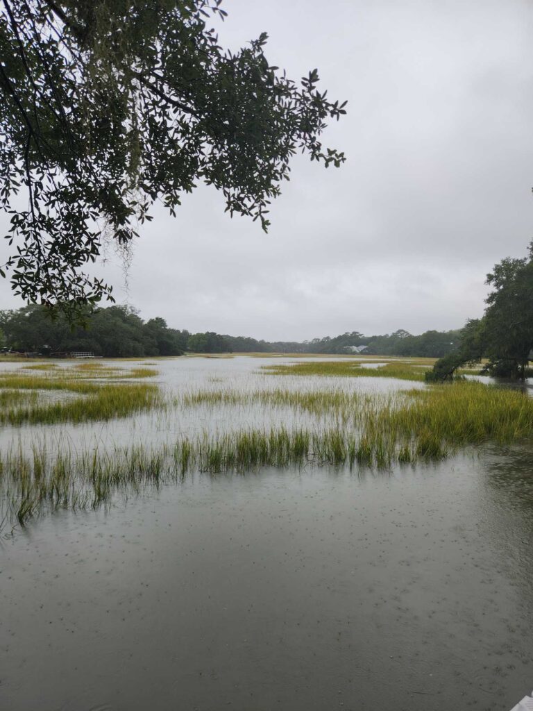 a river with grass and trees (MyCoast AI)
