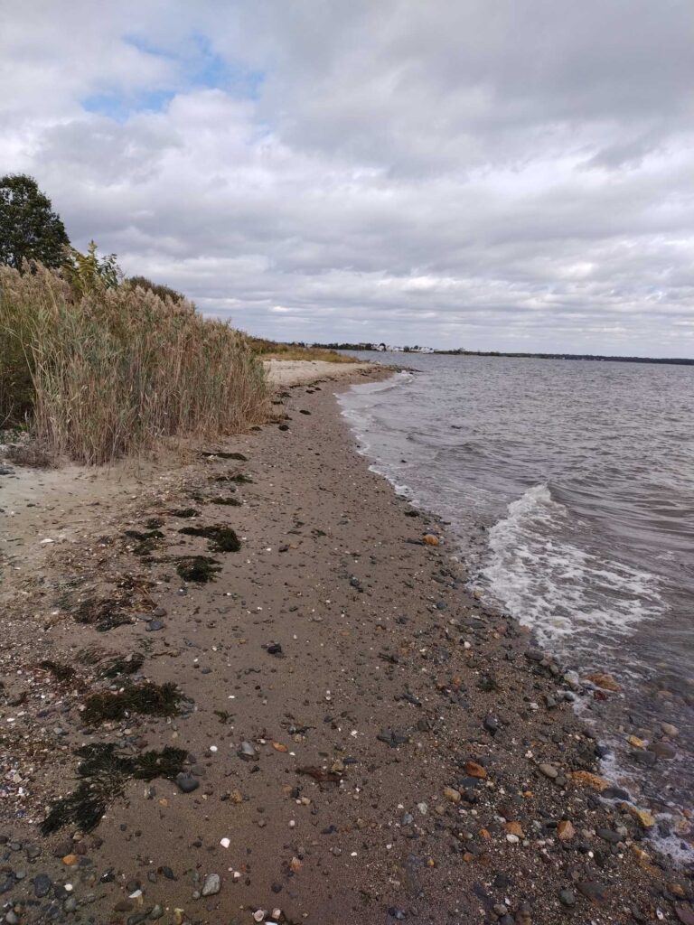 a beach with sand and water (MyCoast AI)