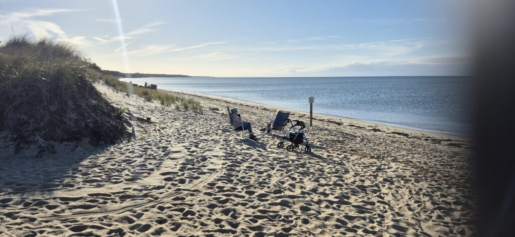 a person sitting in a chair on a beach (MyCoast AI)