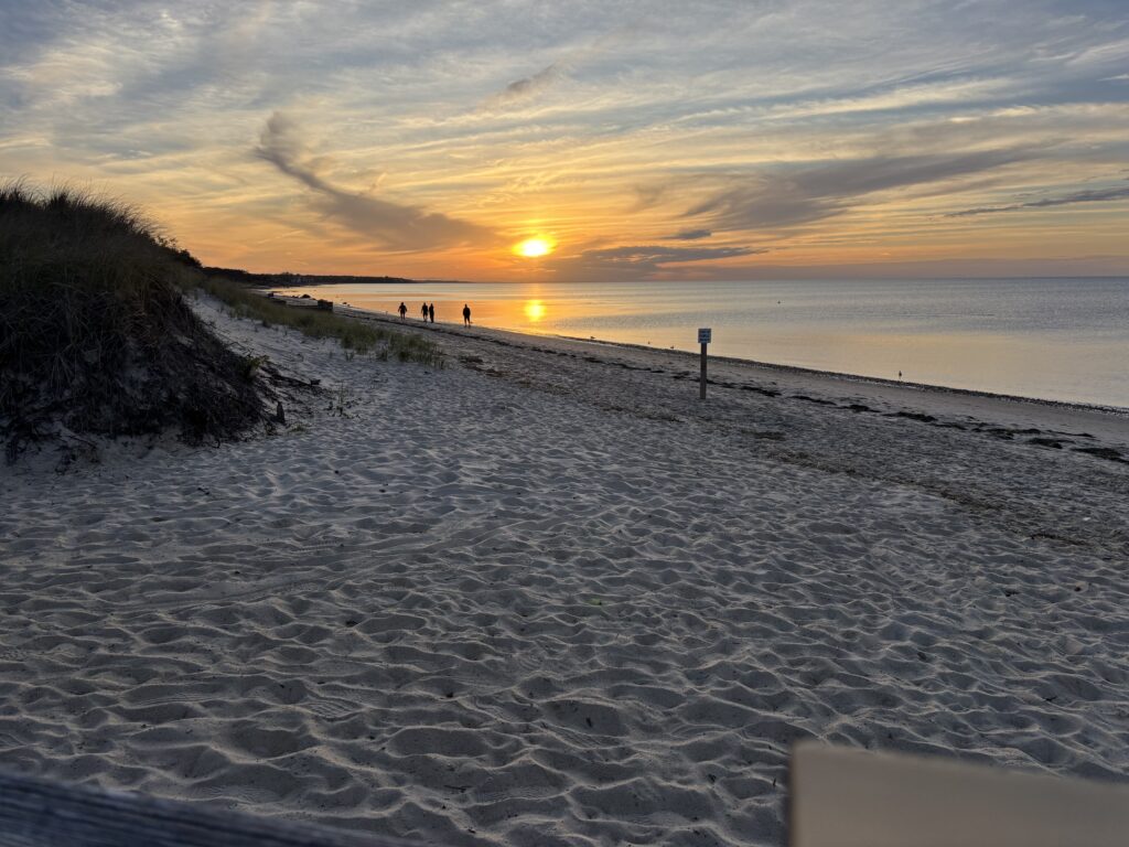 a beach with a sunset (MyCoast AI)