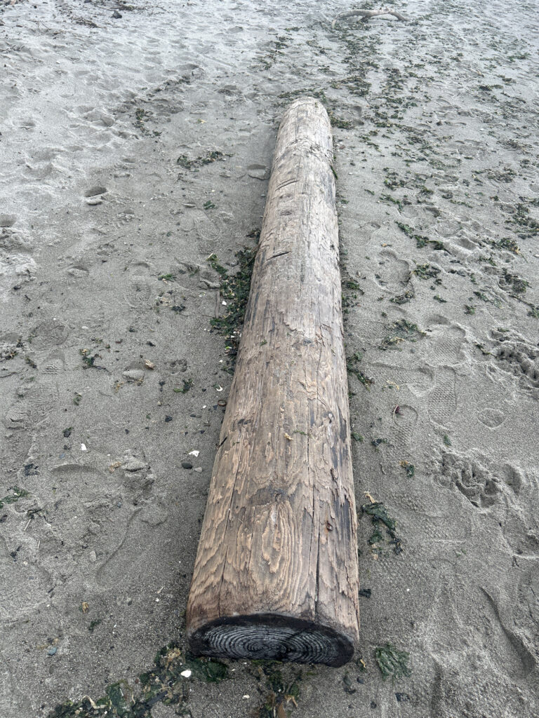 a wooden post on a rocky surface (MyCoast AI)