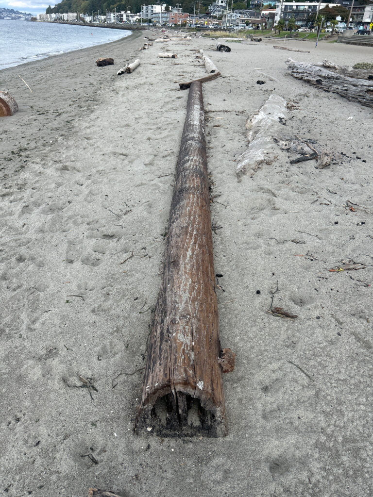 a wooden post on a beach (MyCoast AI)