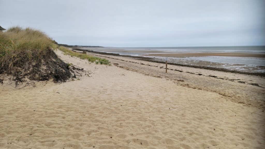 a sandy beach with a fence (MyCoast AI)