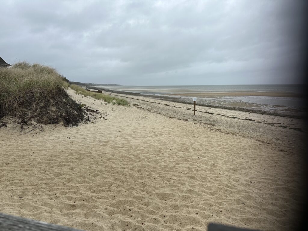 a sandy beach with a fence (MyCoast AI)