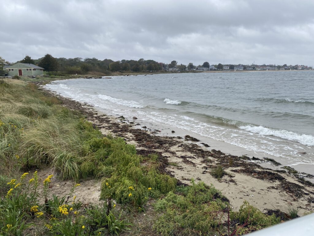 a beach with waves crashing on it (MyCoast AI)