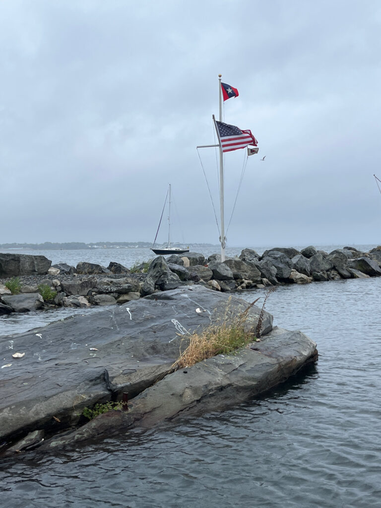 a group of flags on a rocky shore (MyCoast AI)