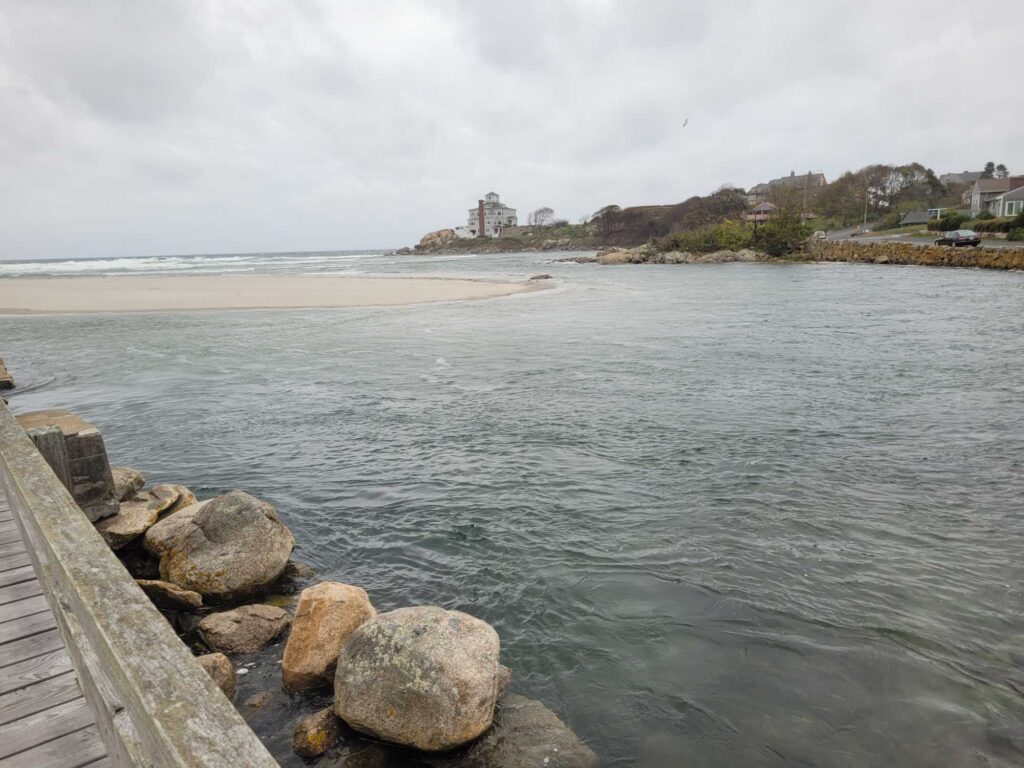 a body of water with rocks and a beach in the background (MyCoast AI)