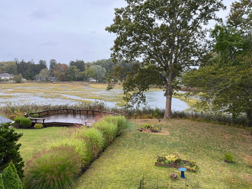 a pond with a tree and grass (MyCoast AI)