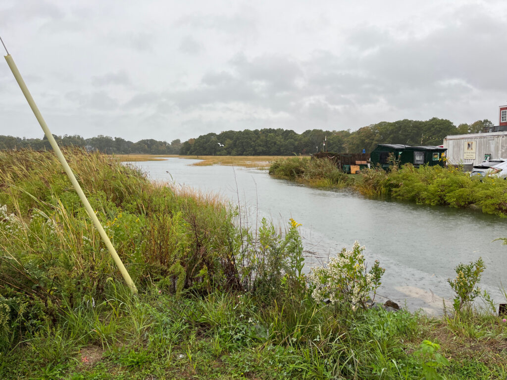 a river with grass and buildings (MyCoast AI)