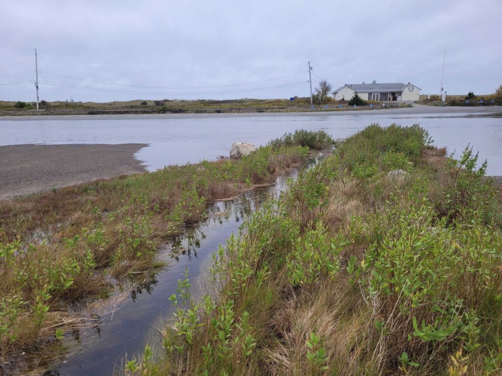 a small pond with a house in the background (MyCoast AI)