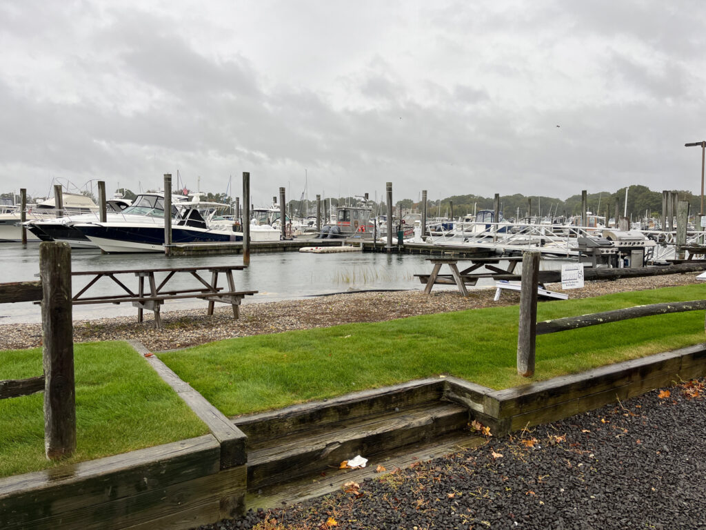 a dock with boats in a harbor (MyCoast AI)