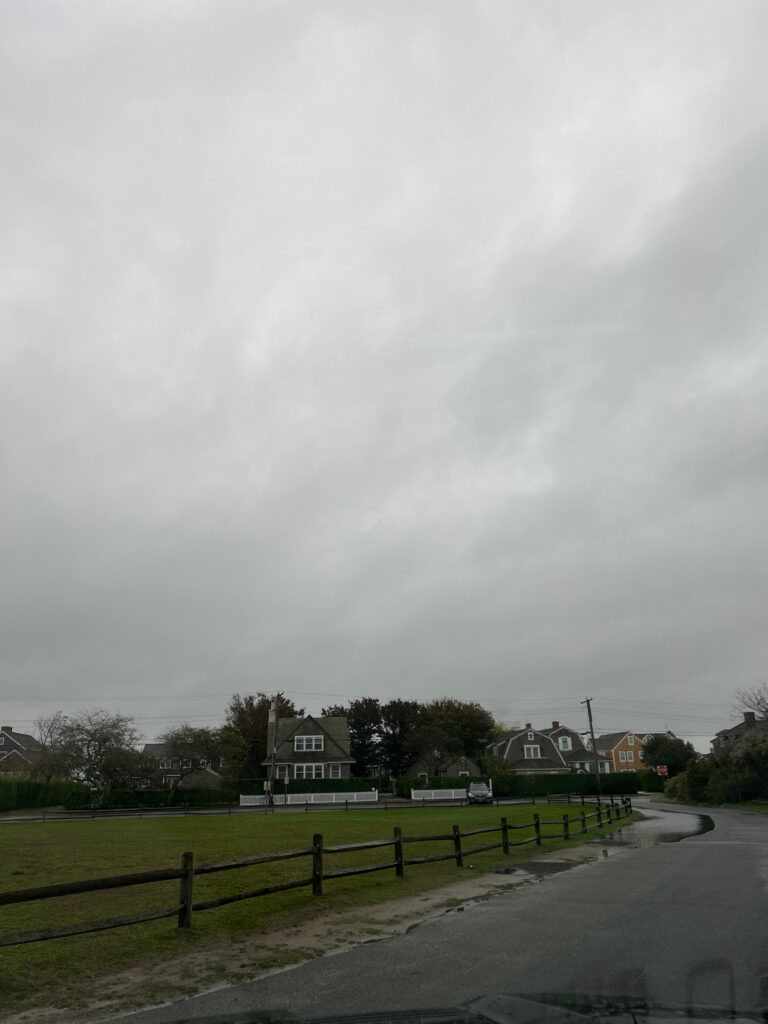 a road with houses and trees on the side (MyCoast AI)