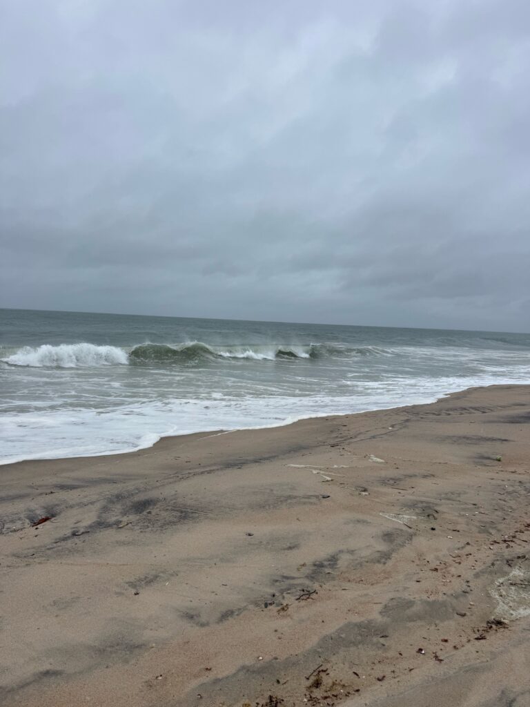 waves crashing on a beach (MyCoast AI)