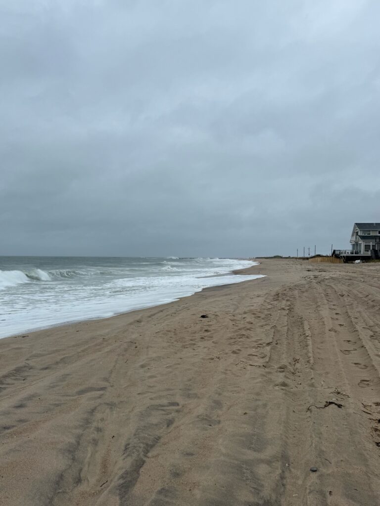 a sandy beach with waves crashing on it (MyCoast AI)