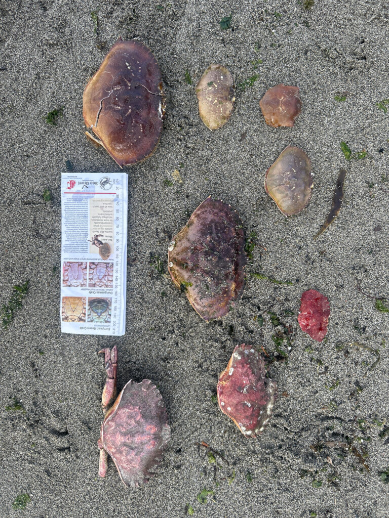 a group of rocks on the ground (MyCoast AI)
