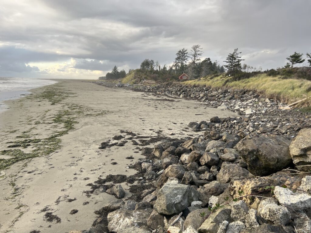 a rocky beach with trees and a hill in the background (MyCoast AI)