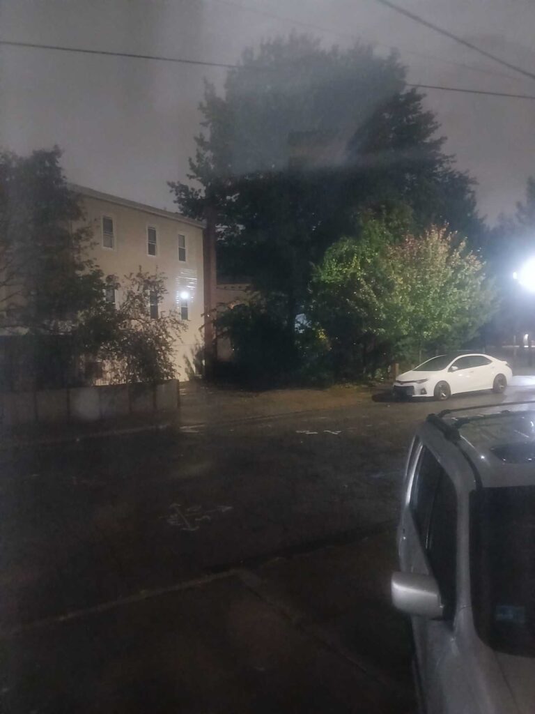a tree and a building (MyCoast AI)