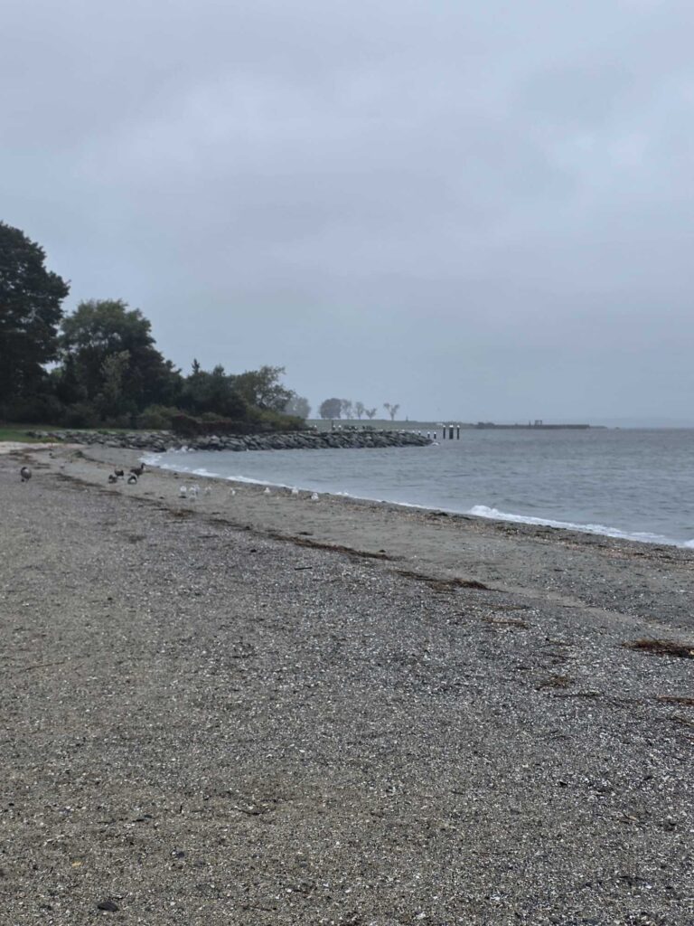 a beach with a pier and trees (MyCoast AI)