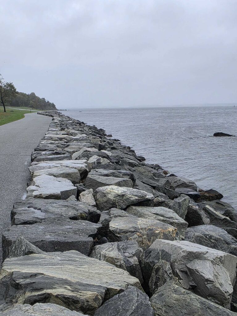 a rocky shoreline with a road and trees (MyCoast AI)