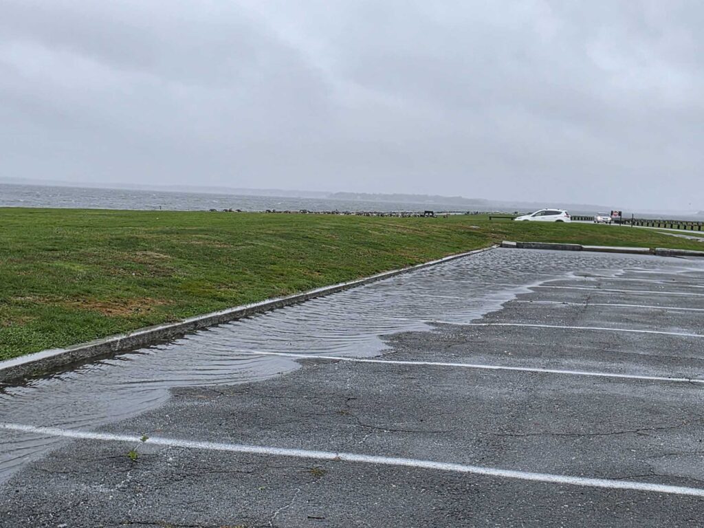 a wet road with grass on either side of it (MyCoast AI)