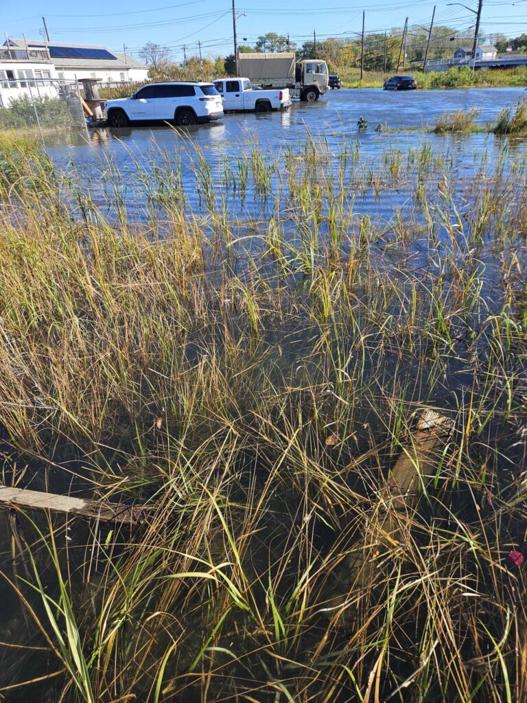 a body of water with cars parked in it (MyCoast AI)