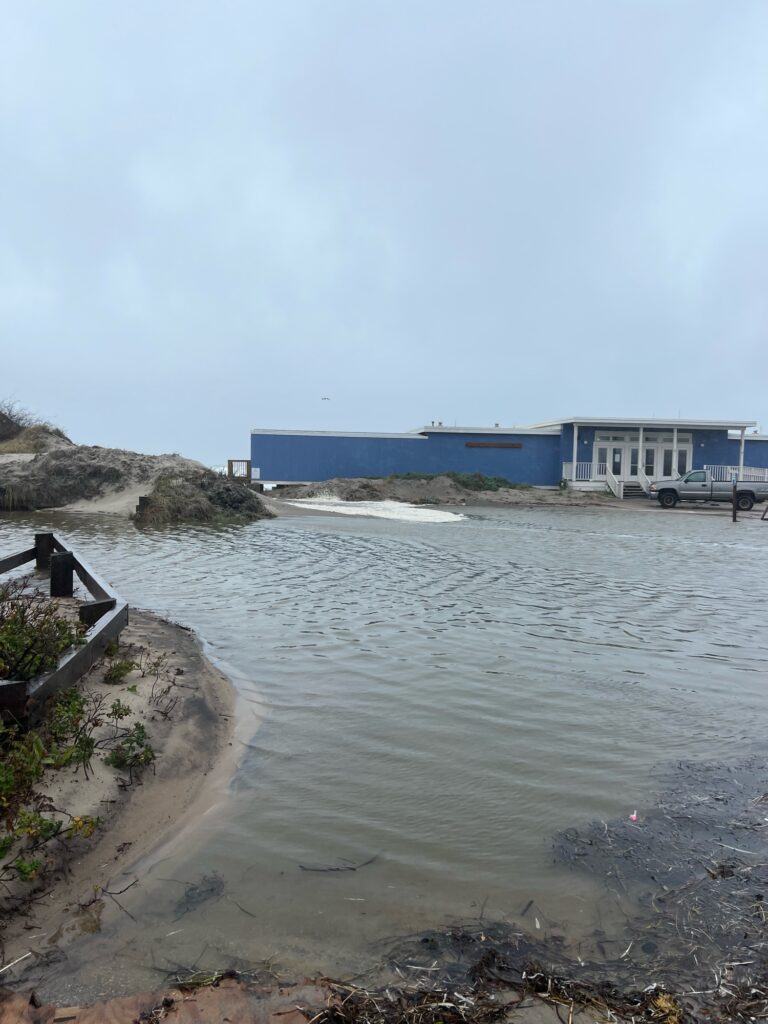a body of water with buildings along it (MyCoast AI)