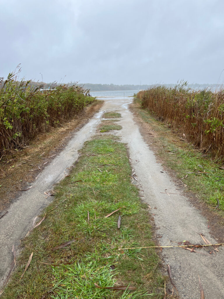 a path with grass and bushes (MyCoast AI)
