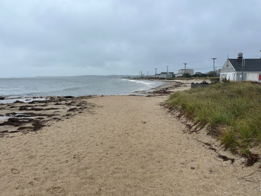 a sandy beach with a building and a pier in the distance (MyCoast AI)