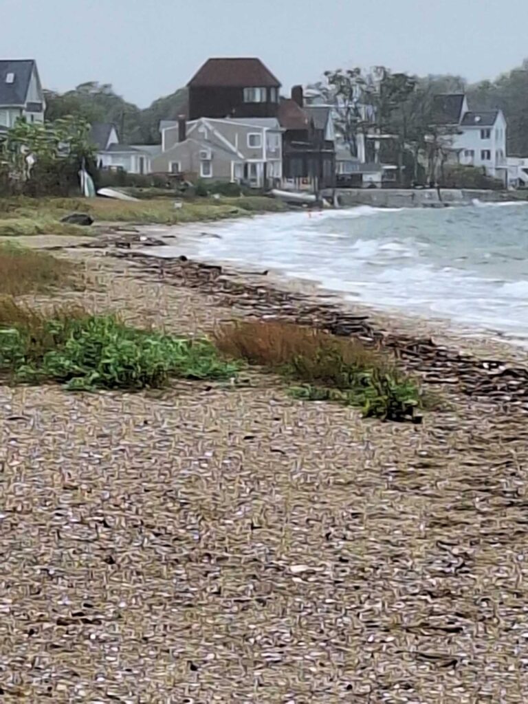 a beach with houses along it (MyCoast AI)