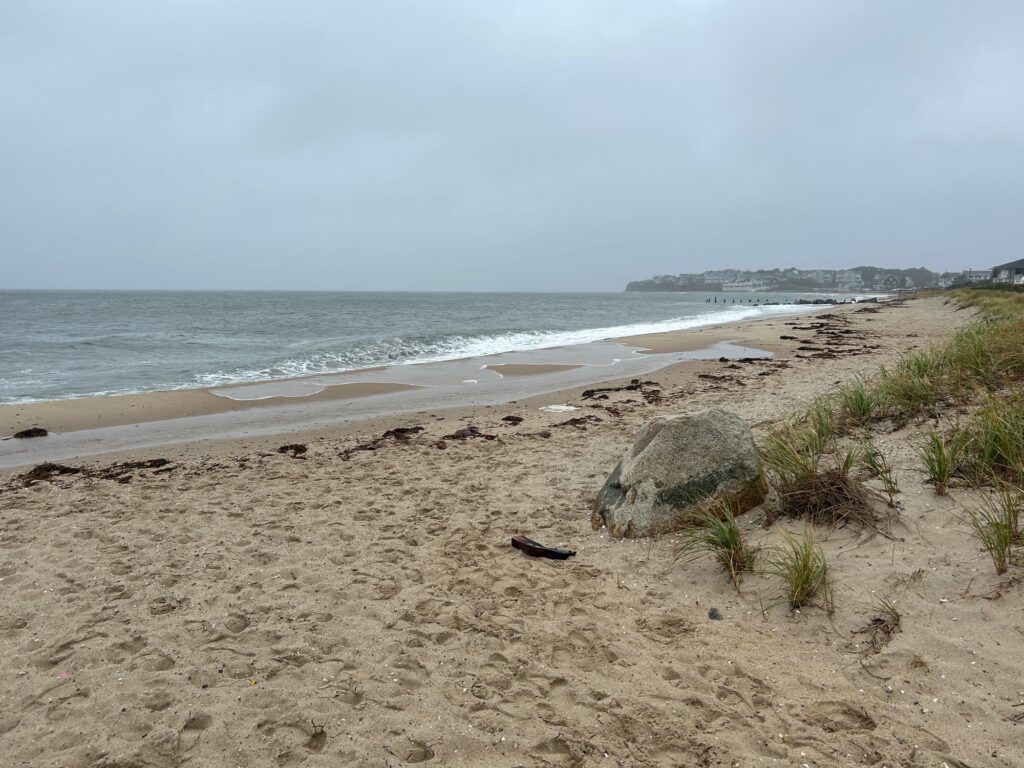 a sandy beach with rocks and plants (MyCoast AI)