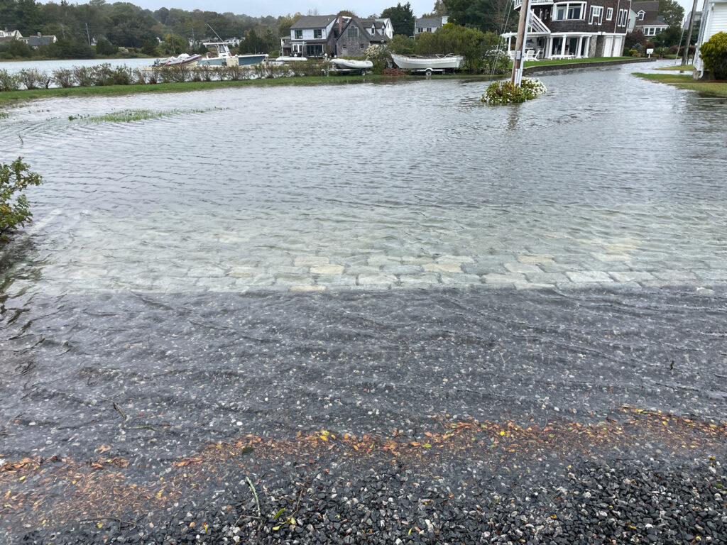 a body of water with houses along it (MyCoast AI)