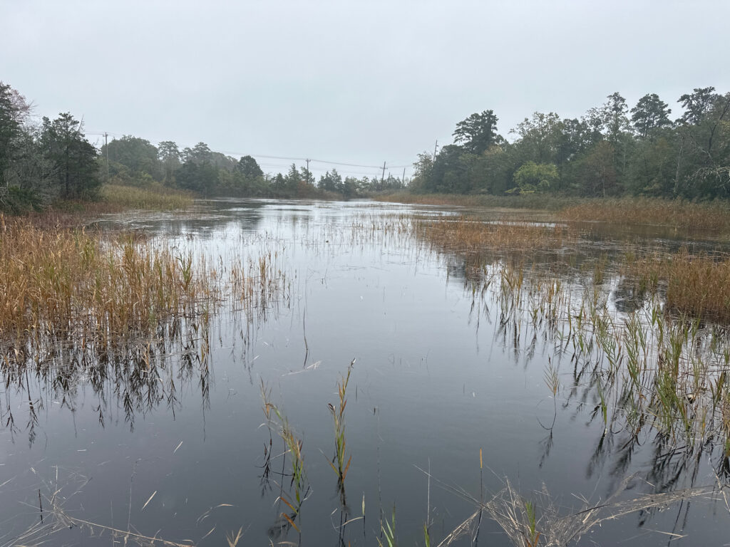 a body of water with grass and trees around it (MyCoast AI)
