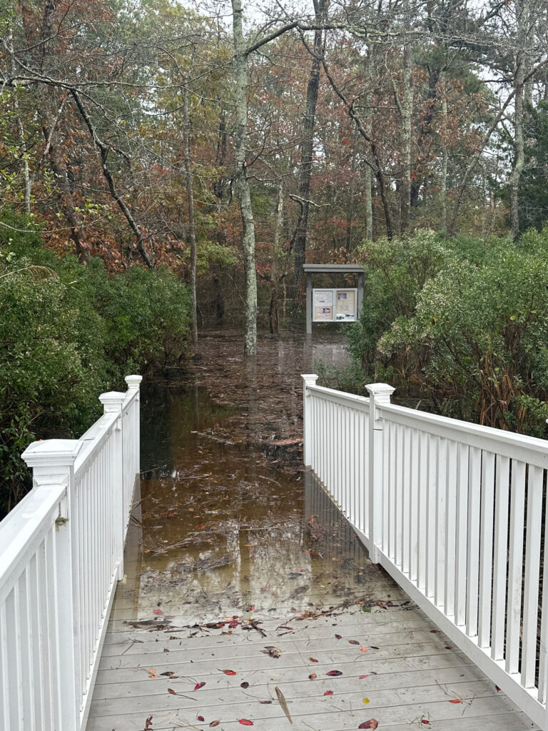 a small pond with a white fence and trees around it (MyCoast AI)