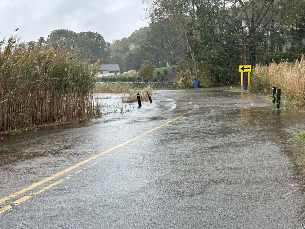 a flooded road with a few people walking on it (MyCoast AI)