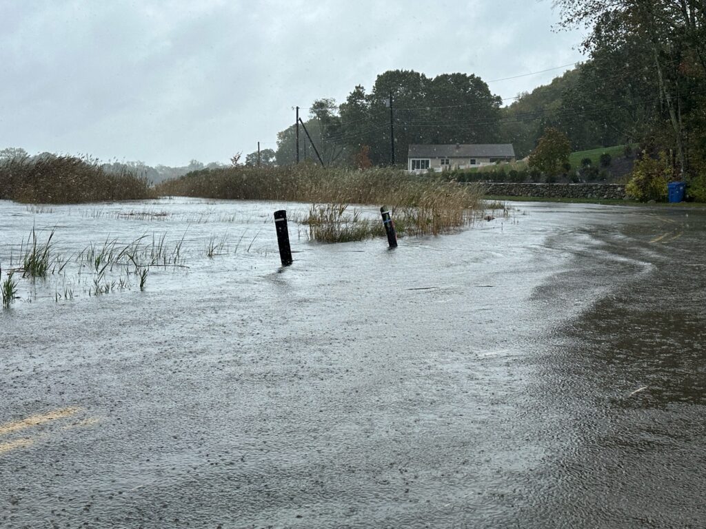a person standing in a flooded area (MyCoast AI)