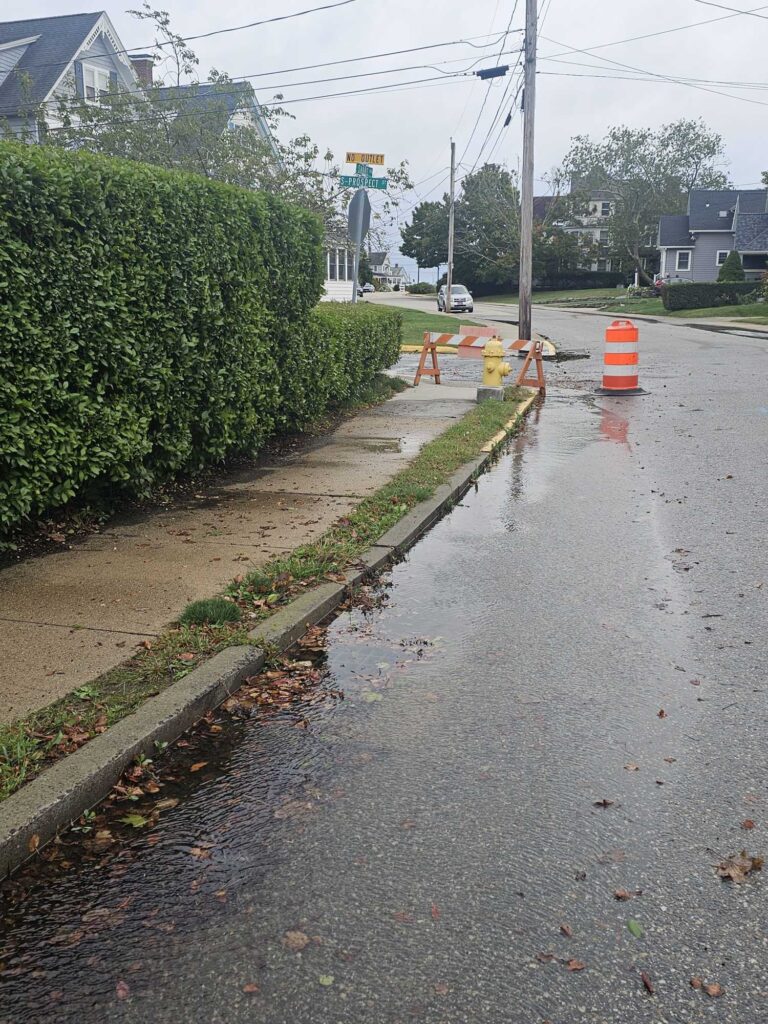 a road with a fire hydrant (MyCoast AI)