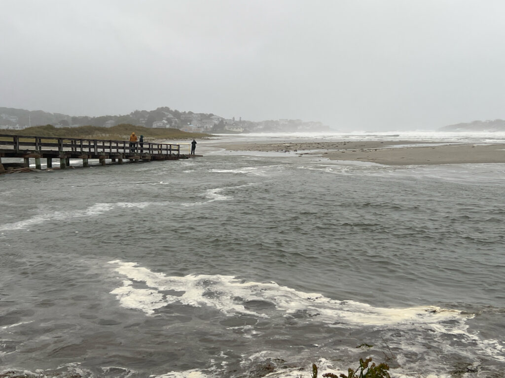 a pier on a beach (MyCoast AI)