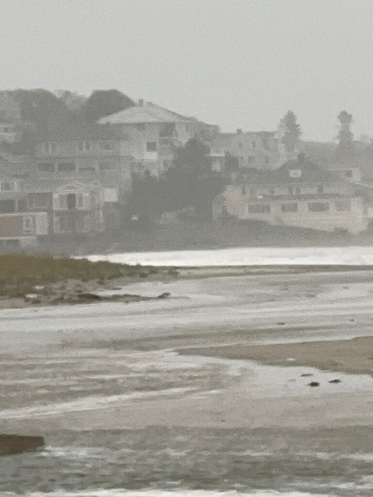 a black and white photo of a town by the water (MyCoast AI)