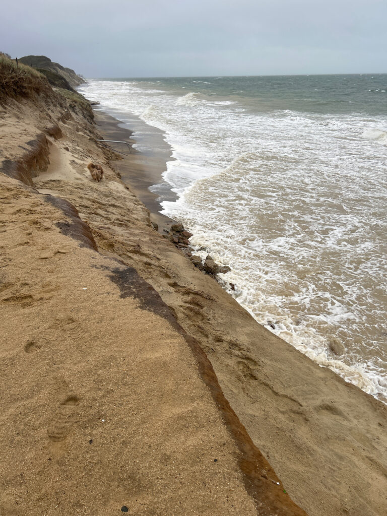 a sandy beach with waves crashing on it (MyCoast AI)