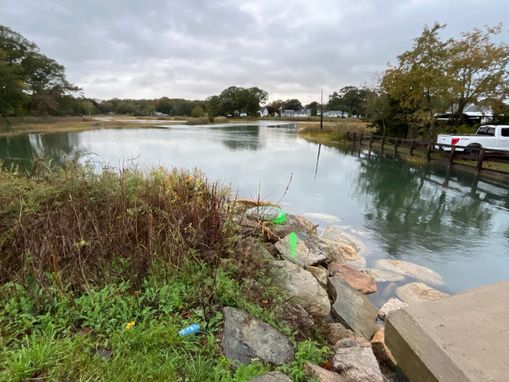 a body of water with rocks and grass around it (MyCoast AI)