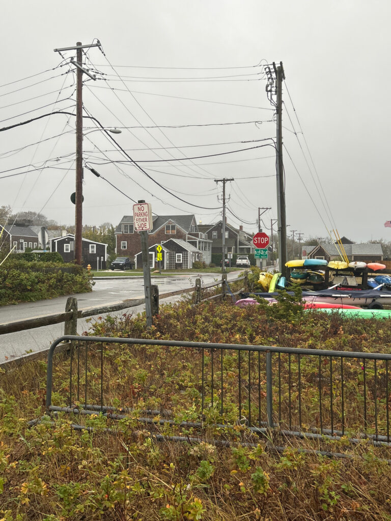 a street with houses and power lines (MyCoast AI)